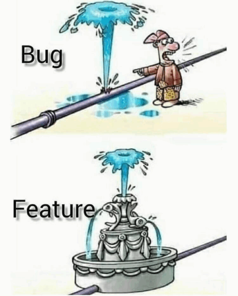Bug or feature